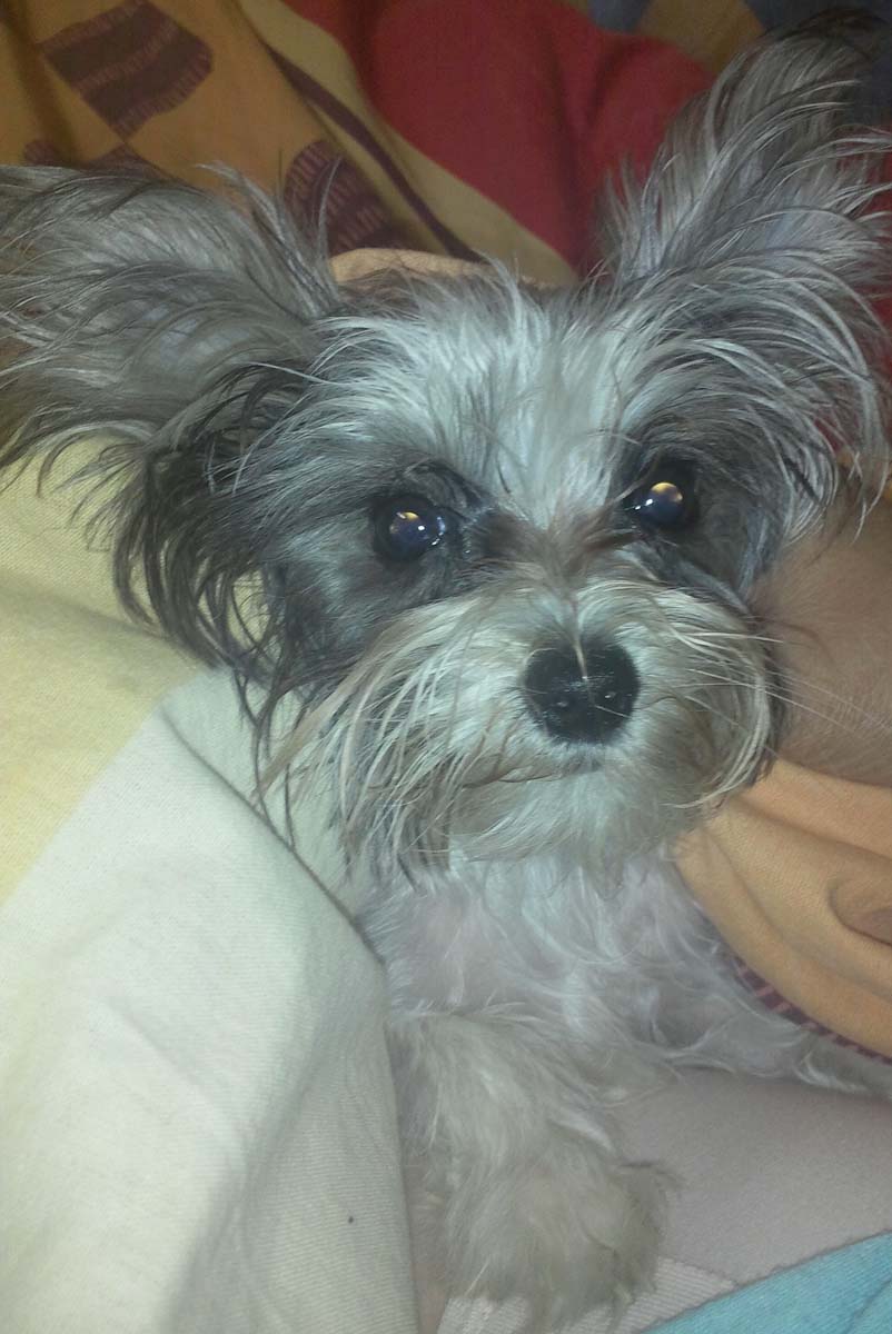 IMG_20150422_233307~01 