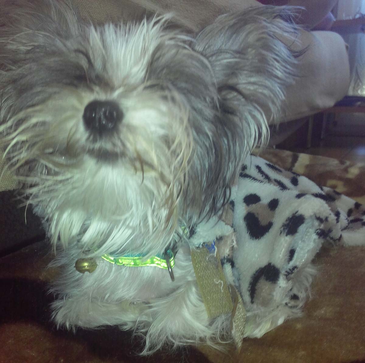 IMG_20150423_103957~01 