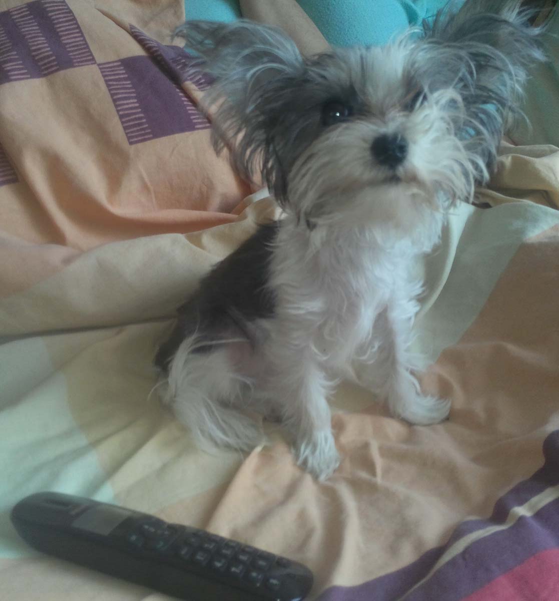 IMG_20150423_141432~01 