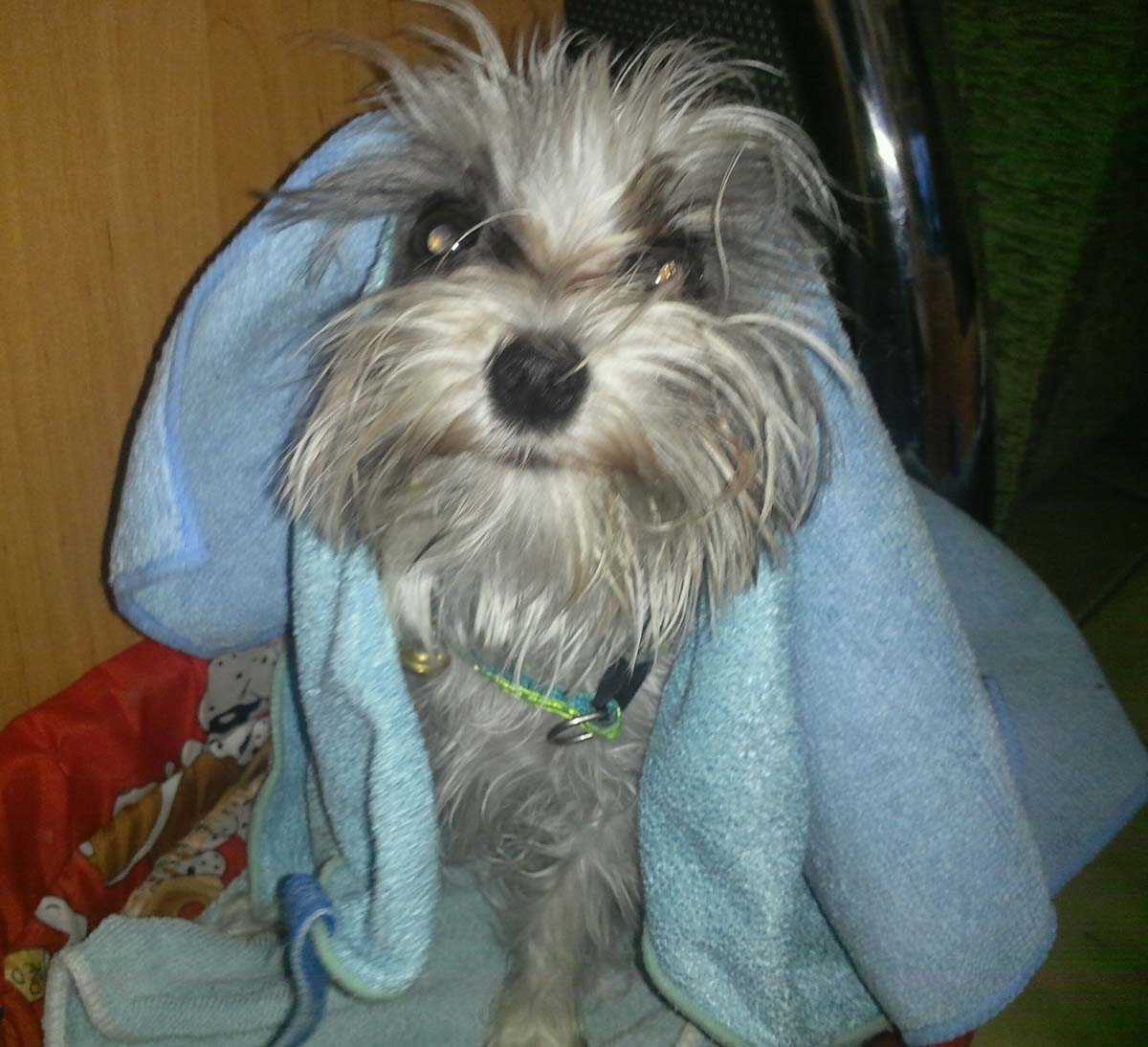 IMG_20150425_091724~01 