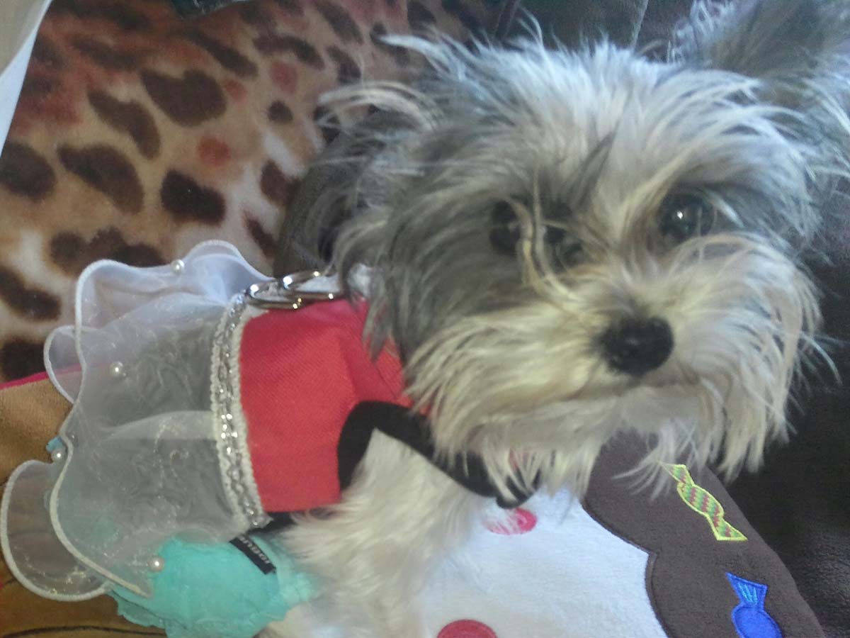 IMG_20150506_111825~01 