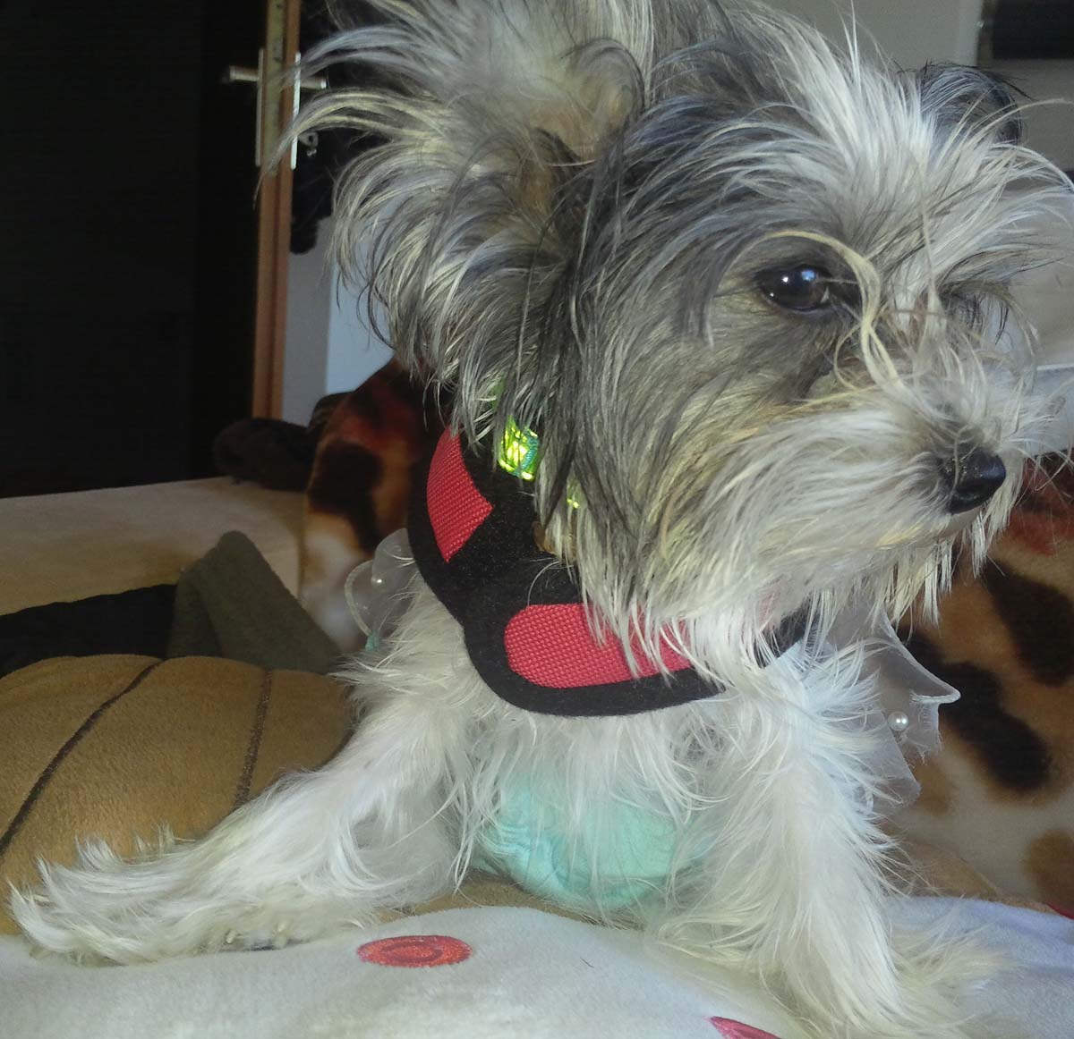 IMG_20150506_111936~01 