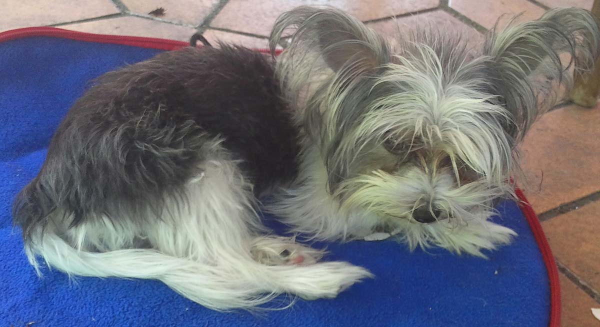 IMG_20150605_123628~01 