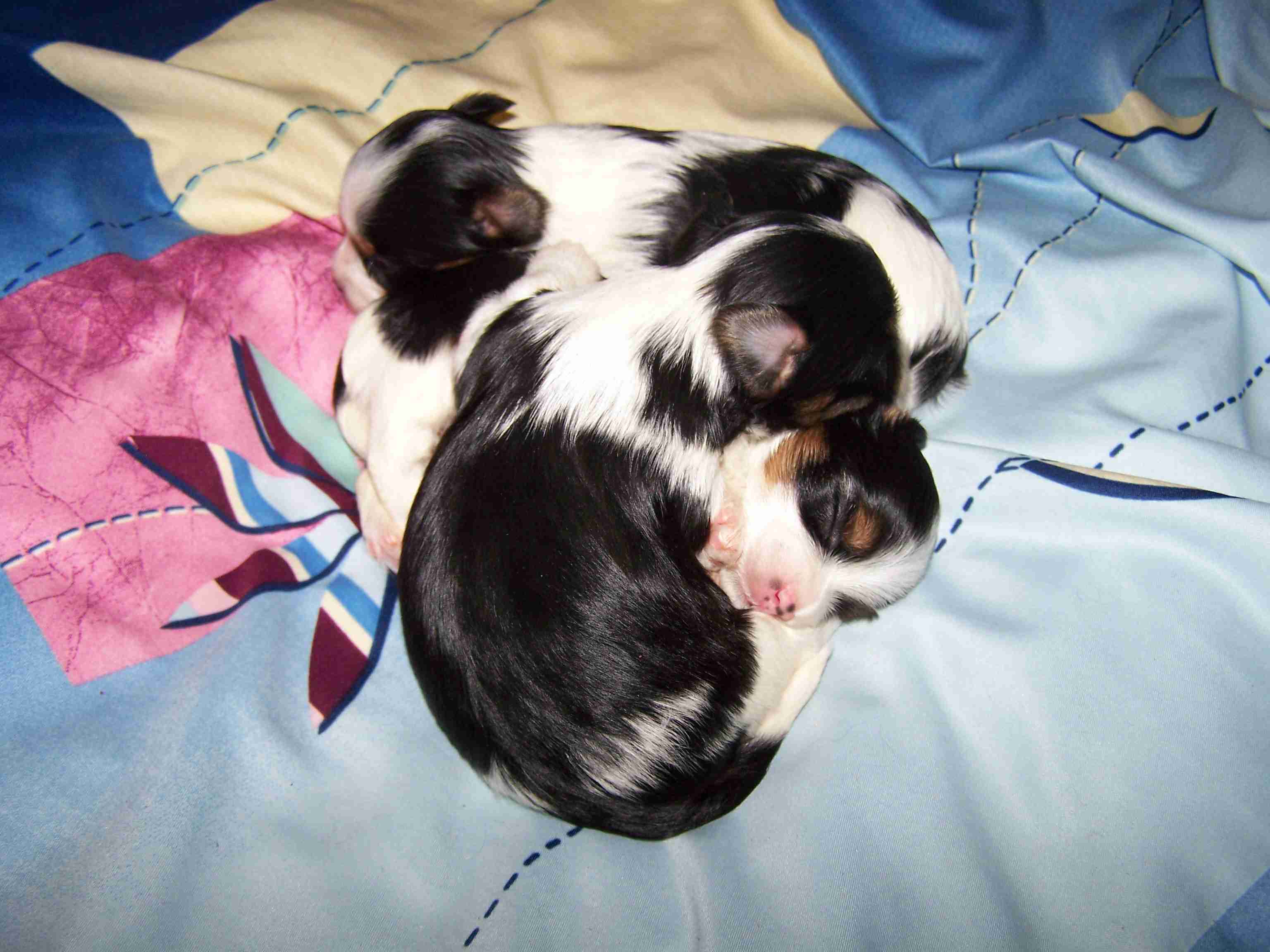 image002
