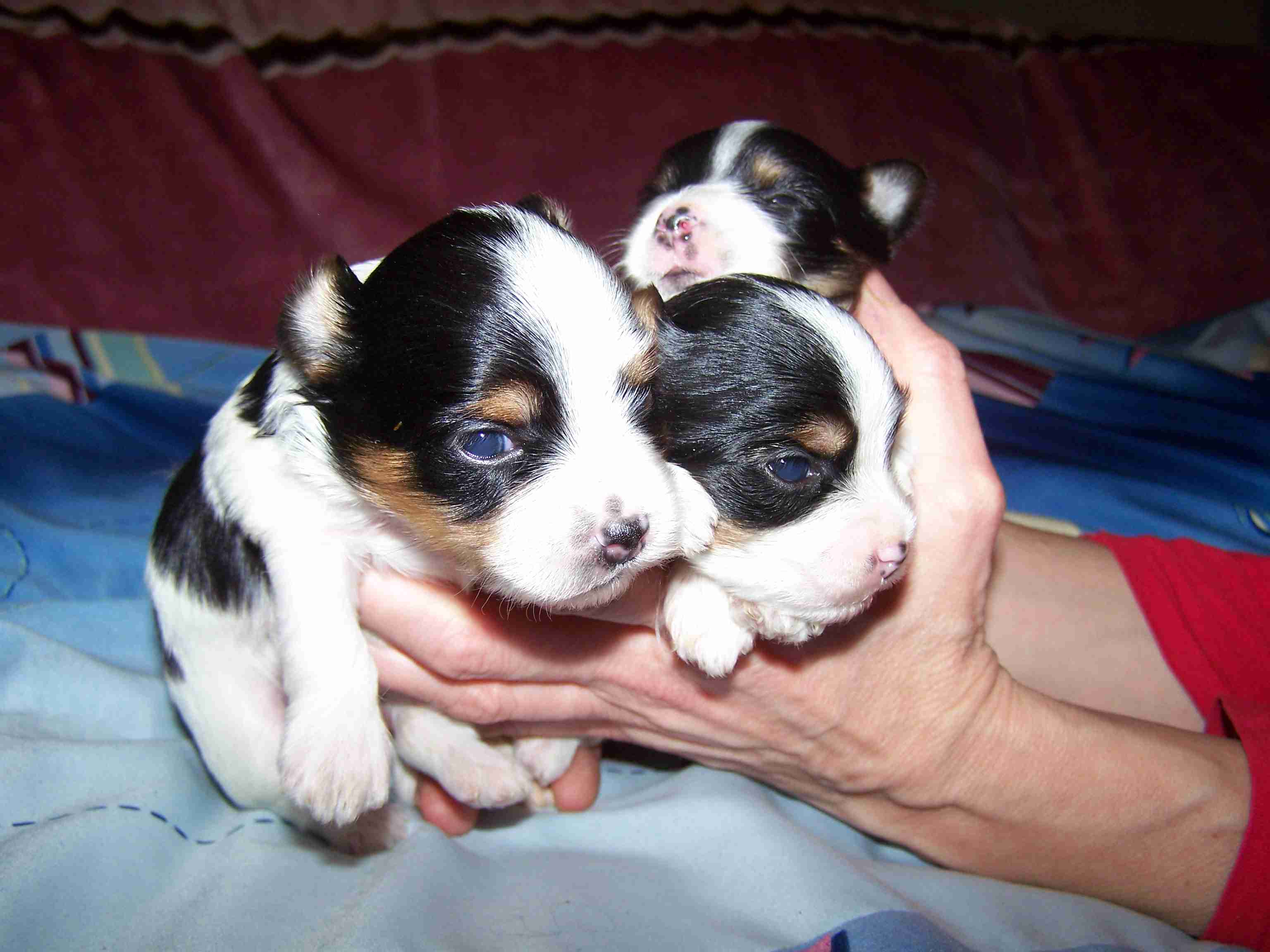 image014 