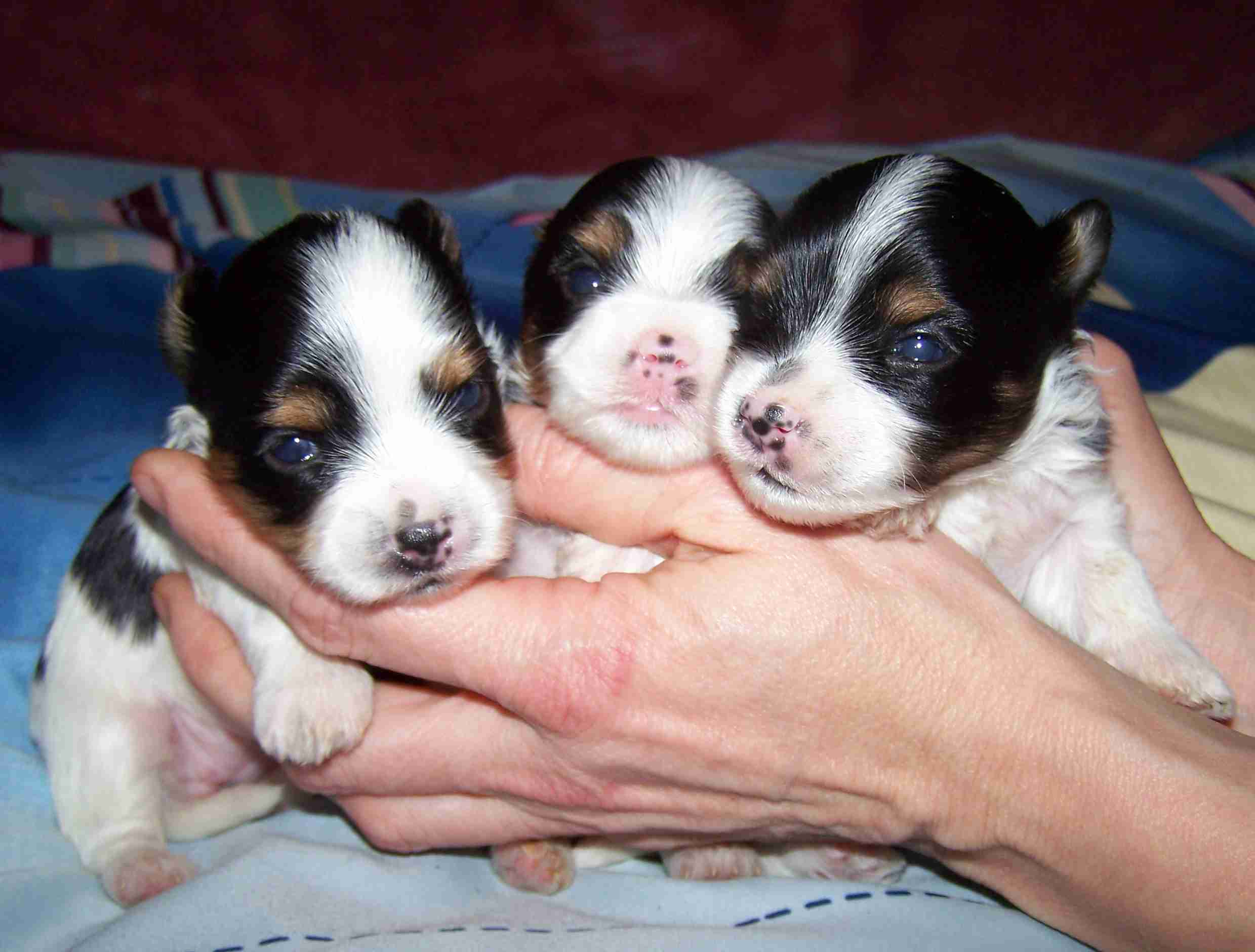 image020 